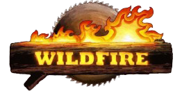 Wildfire